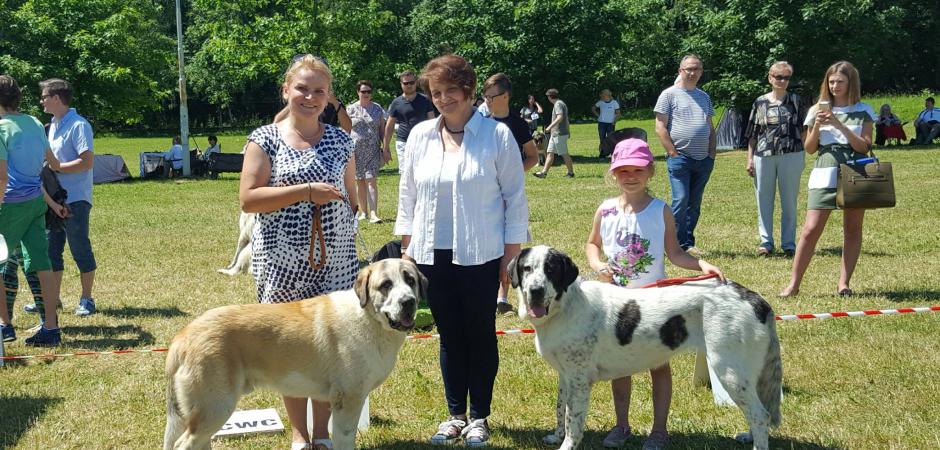 Arash i Alexis na wystawie psów CACIB Kraków