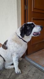Arwena 10 miesięcy - jest kochana i kocha swoją rodzinę